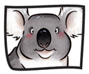 K is for Koala