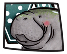 M is for Manatee