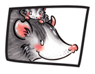 O is for Opossum