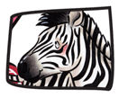 Z is for Zebra